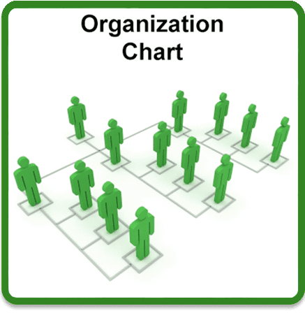 Best Purging Systems Organization Chart